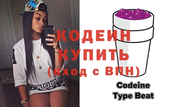 индика Богородск