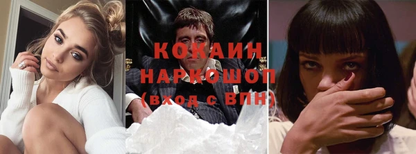 индика Богородск