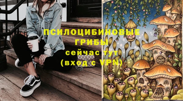 2c-b Богданович