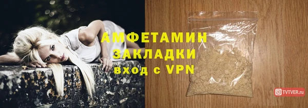 индика Богородск