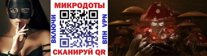 MEGA   Туран  Галлюциногенные грибы Psilocybe 
